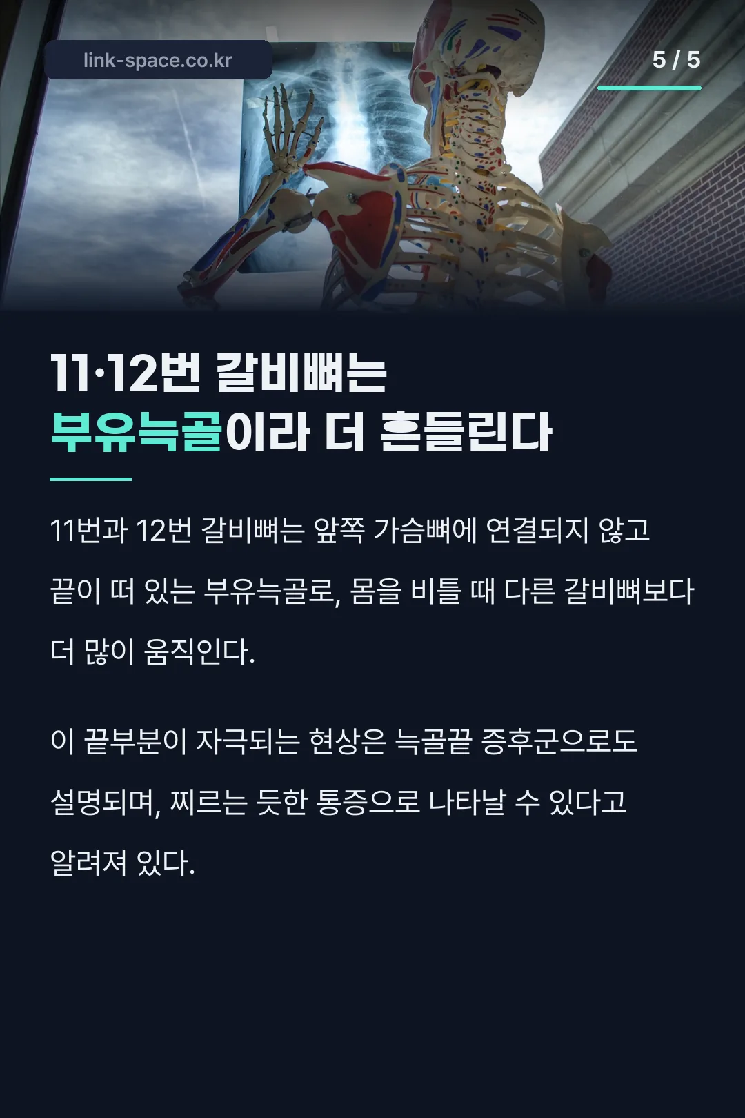 11·12번 갈비뼈는 부유늑골이라 더 흔들린다