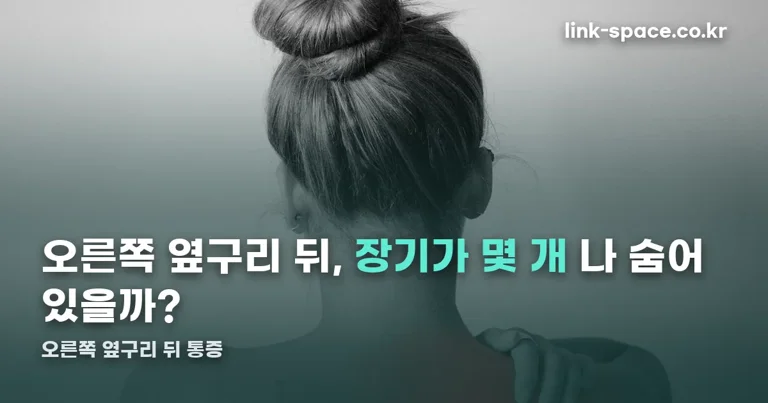 오른쪽 옆구리 뒤 통증 정리 썸네일