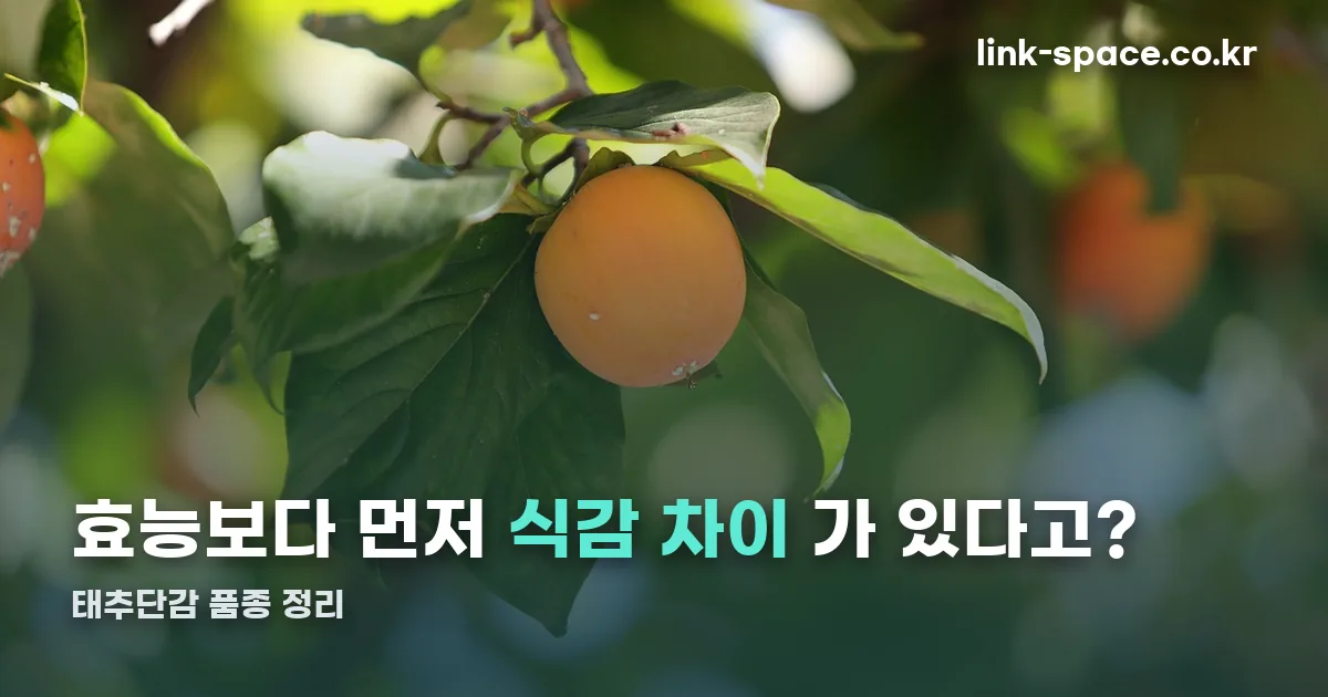 태추단감 효능 정리 썸네일